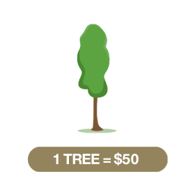 1_tree