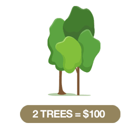 2_trees