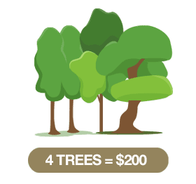 4_trees