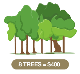 8_trees